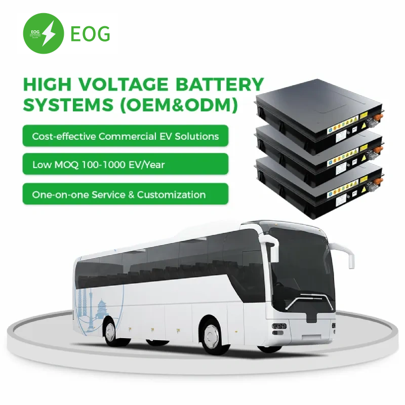 Battery Electric Bus Project in Turkey